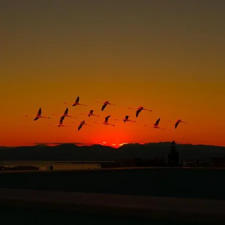 Luce Bed & Breakfast