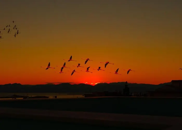 Luce Bed & Breakfast